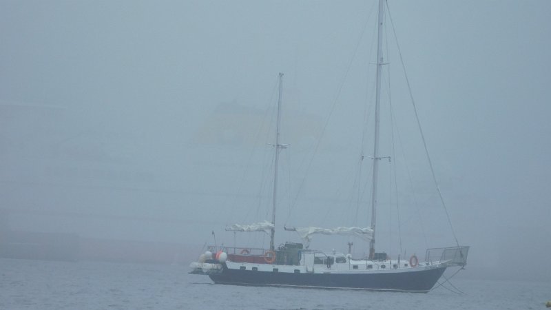 009 (2).JPG - Elsie Menota in the fog